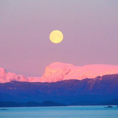 乐发lv彩票app下载安装