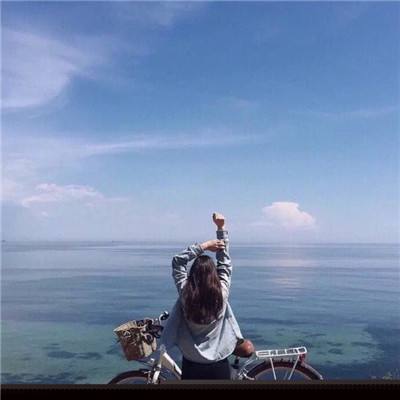 凤凰彩票手机app下载