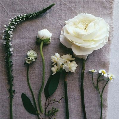 bob半岛·体育中国官方网站