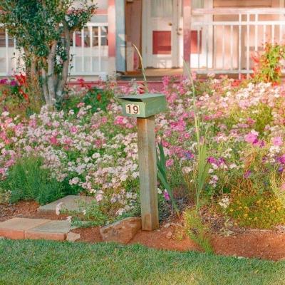 万博max体育官网